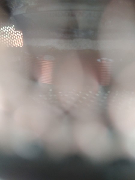 IMG_20190326_104938.jpg